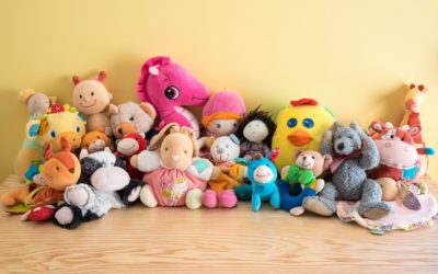 TIP NUMBER 3: TEACH IT TO YOUR TEDDY BEARS!