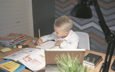 Leerverliese kan verminder